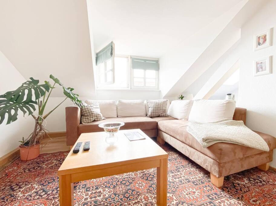 Schoene Ferienwohnung Mit Blick Ueber Stadtwald Leipzig Exterior foto